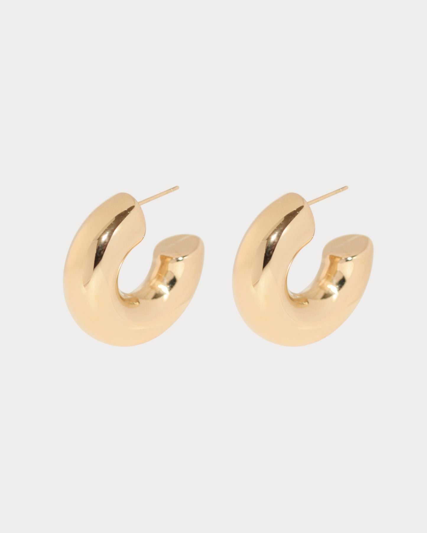 Tani Hoop Earrings