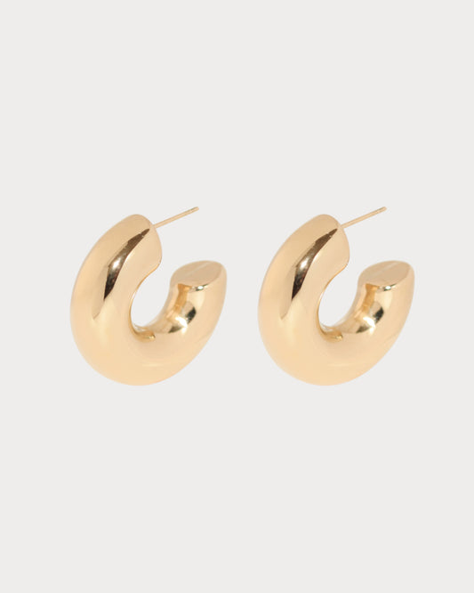 Tani Hoop Earrings